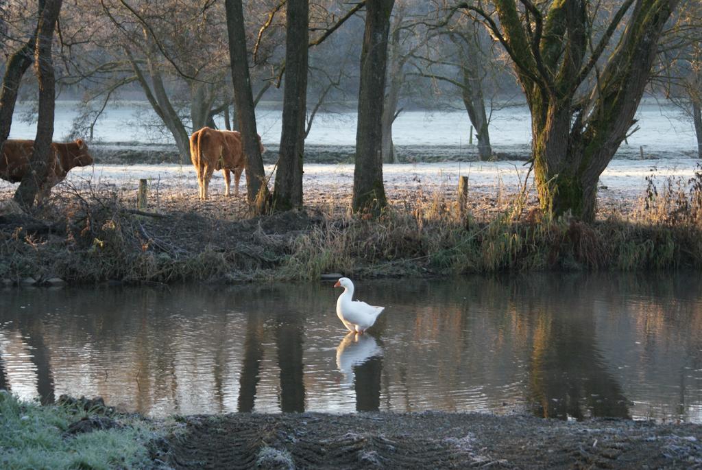 Le Gite De L Ourthe Ortheuville Екстер'єр фото