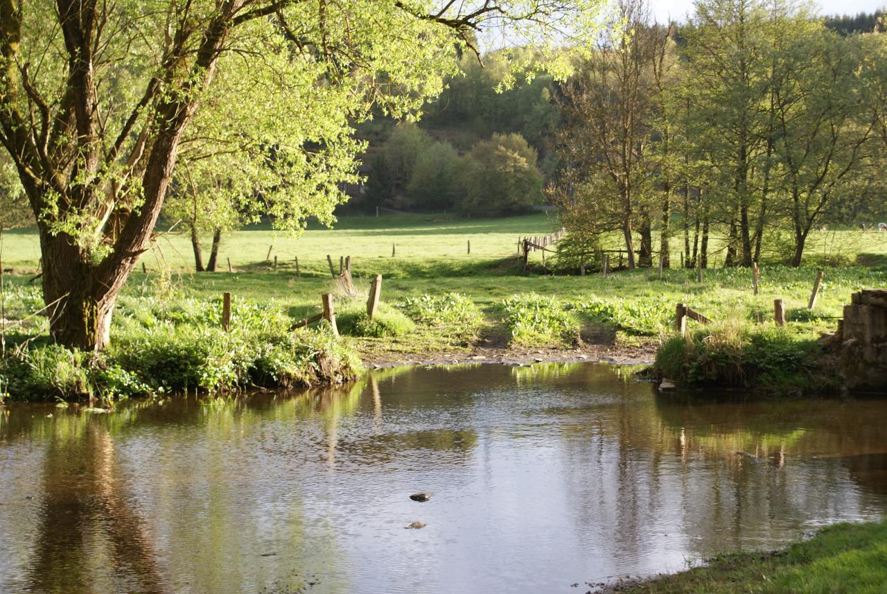 Le Gite De L Ourthe Ortheuville Екстер'єр фото