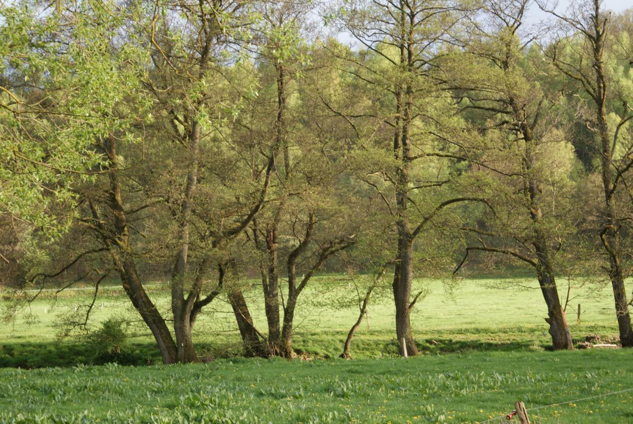 Le Gite De L Ourthe Ortheuville Екстер'єр фото