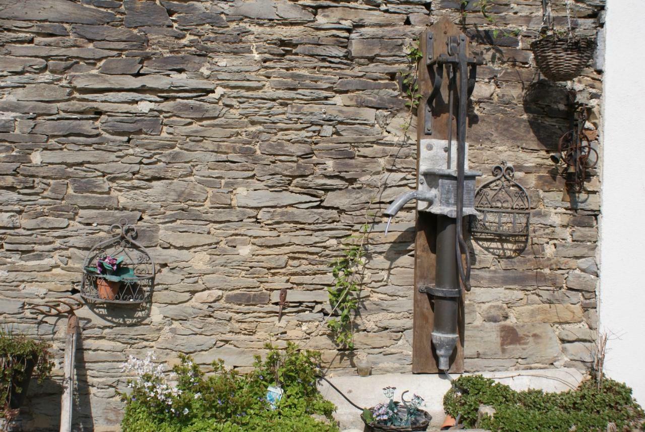 Le Gite De L Ourthe Ortheuville Екстер'єр фото
